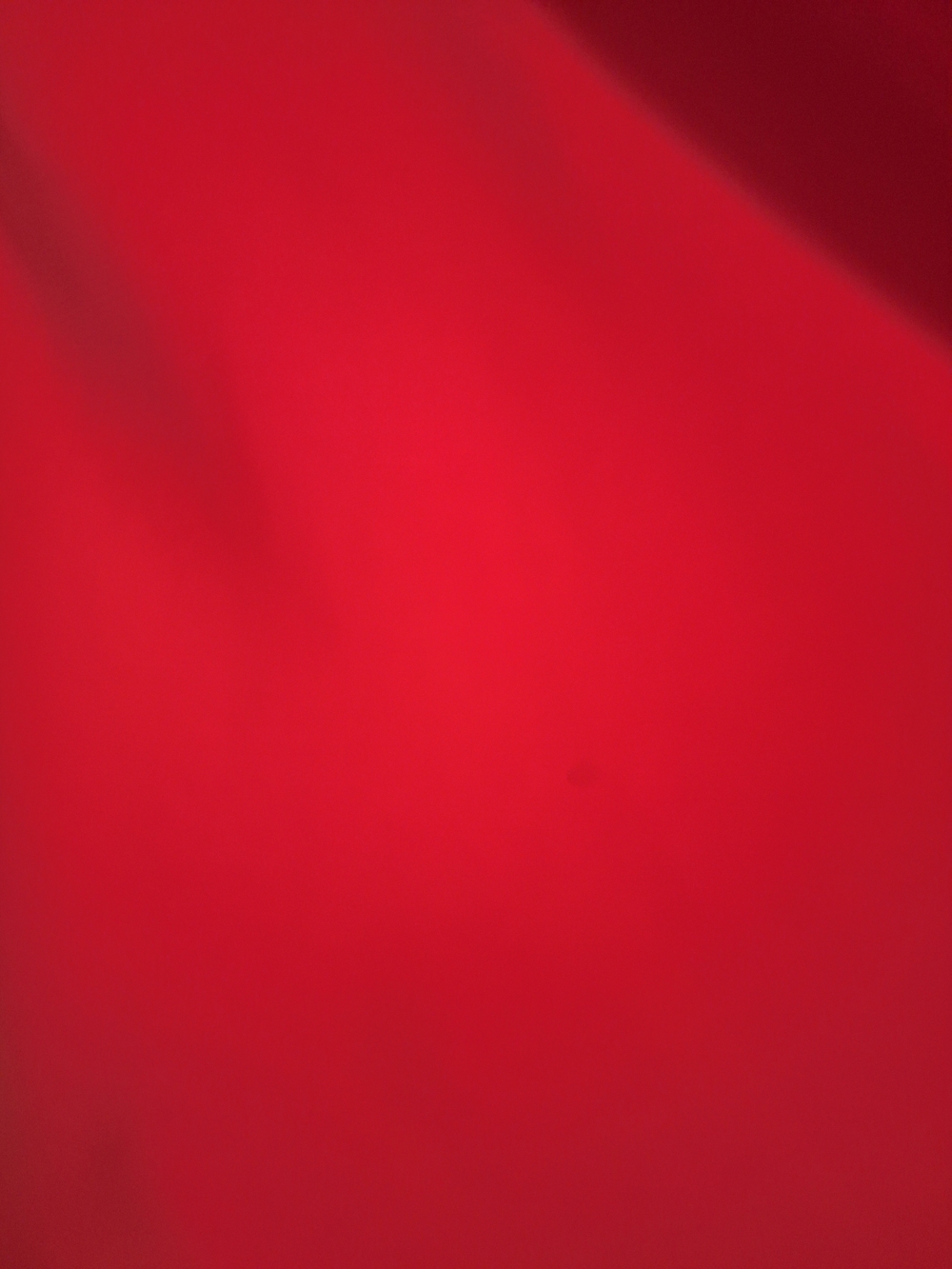 Evan Picone Scarlet Ruched-Waist Midi Dress - Picture 6 of 6